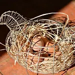Bed & Breakfast Charmilles Des Cordeliers