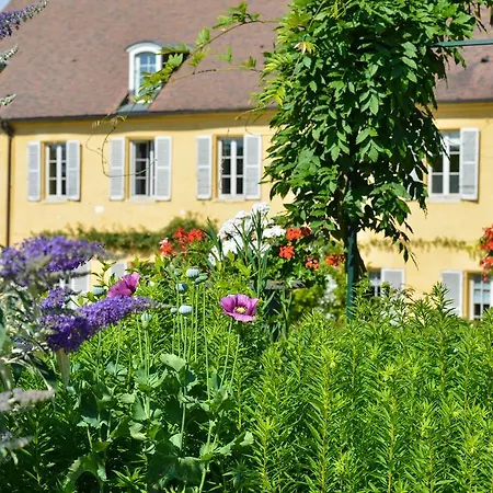 Charmilles Des Cordeliers