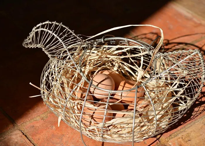 Panzió Charmilles Des Cordeliers