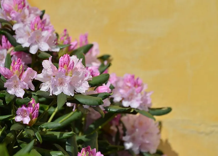 Charmilles Des Cordeliers Panzió 3*